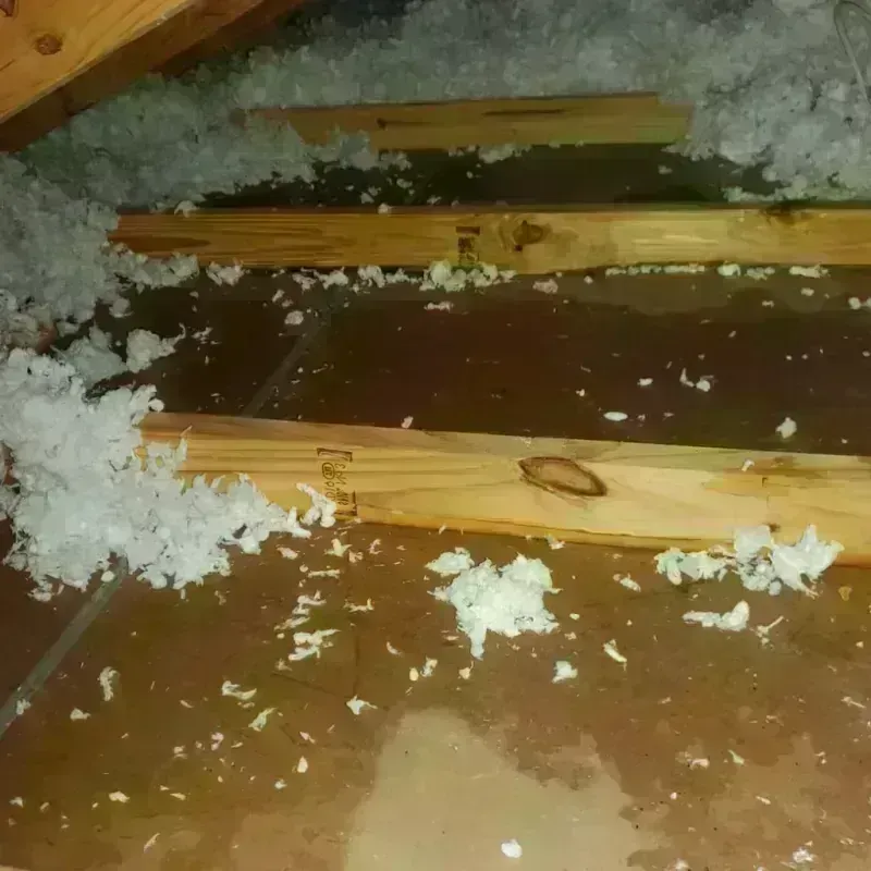 Attic Water Damage in Whitesboro, TX